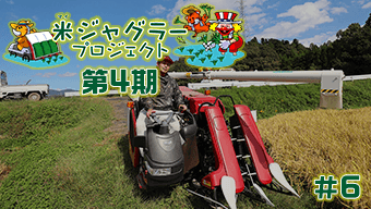 【第4期】米ジャグラープロジェクト 福島県稲刈り