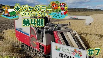 【第4期】米ジャグラープロジェクト 宮城県稲刈り