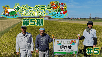 【第5期】米ジャグラープロジェクト稲刈り