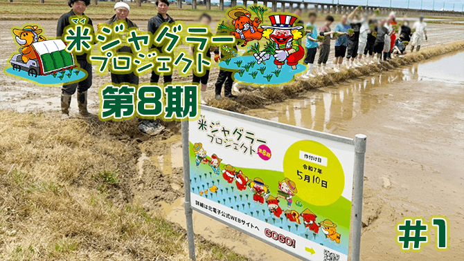 第8期米ジャグラープロジェクトが始まりました！