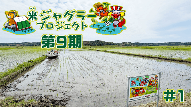 第9期米ジャグラープロジェクトが始まりました！