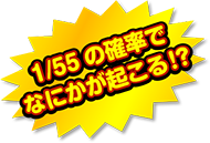 1/55の確率で何かが起こる!?