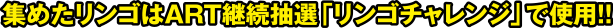 集めたリンゴはART継続抽選「リンゴチャレンジ」で使用