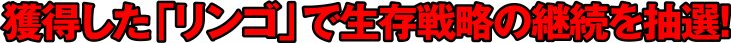 獲得した「リンゴ」で生存戦略の継続を抽選!