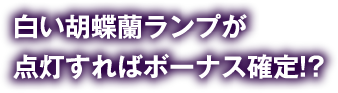 白い胡蝶蘭ランプが点灯すればボーナス確定!?