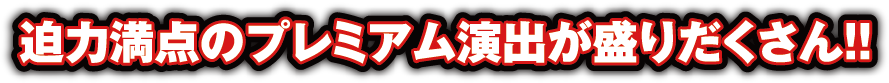 迫力満点のプレミアム演出が盛りだくさん!!