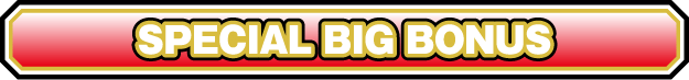 SPECIAL BIG BONUS