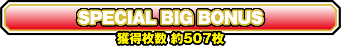 SPECIAL BIG BONUS 獲得枚数約507枚