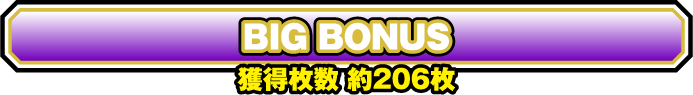 BIG BONUS 獲得枚数約206枚