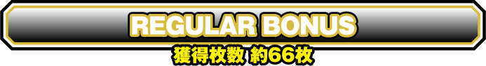 REGULAR BONUS 獲得枚数約66枚